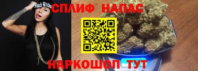 бошки Моздок