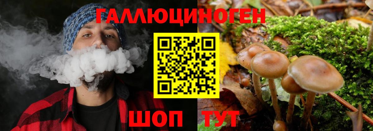 Ялта  Галлюциногенные грибы MAGIC MUSHROOMS  Вход с VPN  Псилоцибиновые грибы Magic Shrooms 